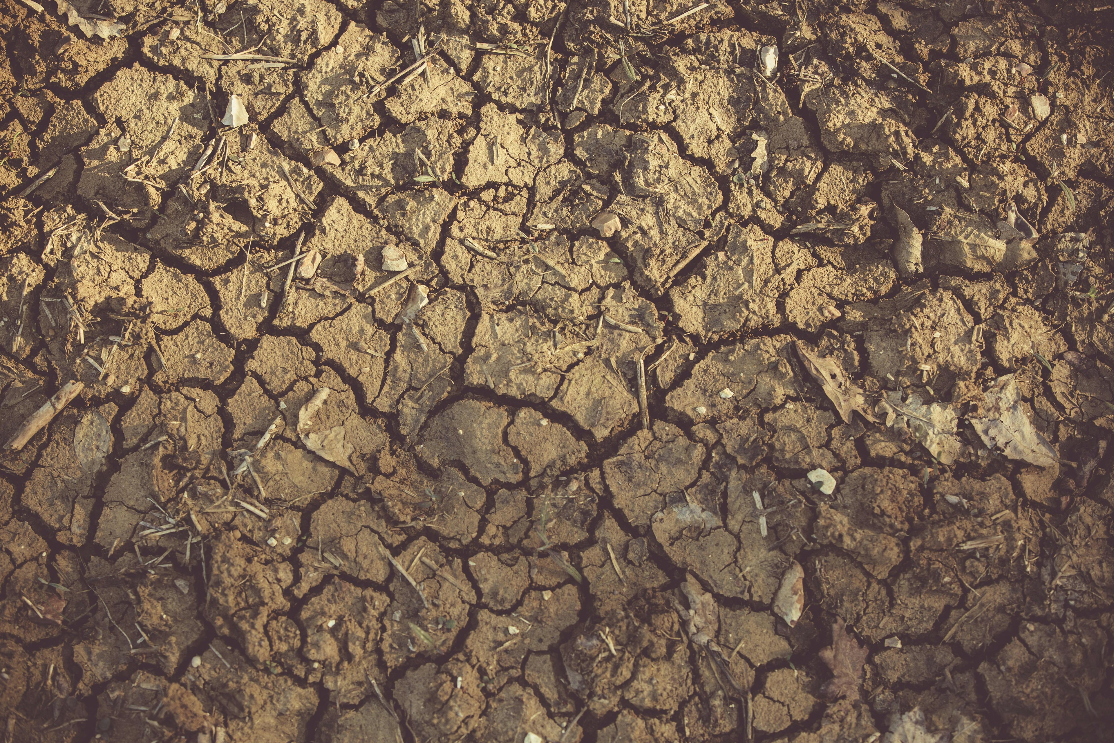 Why Gypsum Is the Secret Weapon for Improving Clay and Compacted Soils Before Winter