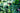 How to Apply Liquid Fish Fertilizer for Maximum Root Absorption