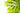 Spring Crop Canopy Management: Optimizing Early Nutrient Allocation for Maximum Growth