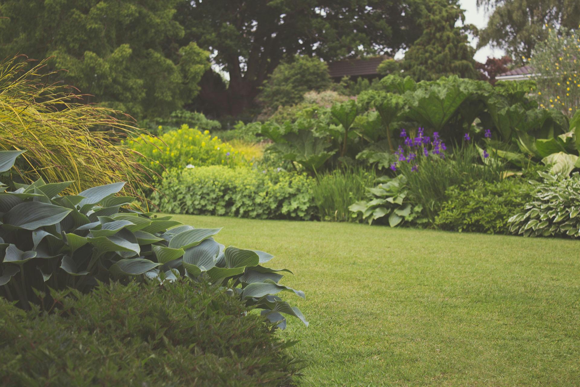 Elevate Your Yard with These Spring Lawn Care Tips