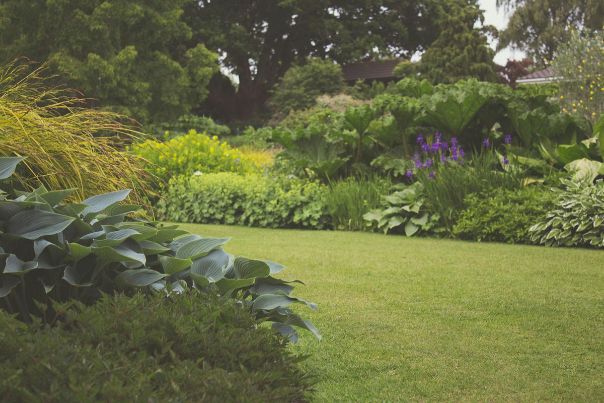 Elevate Your Yard with These Spring Lawn Care Tips