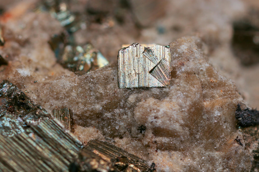 Trace Minerals: Small Nutrients That Shape a Long Season