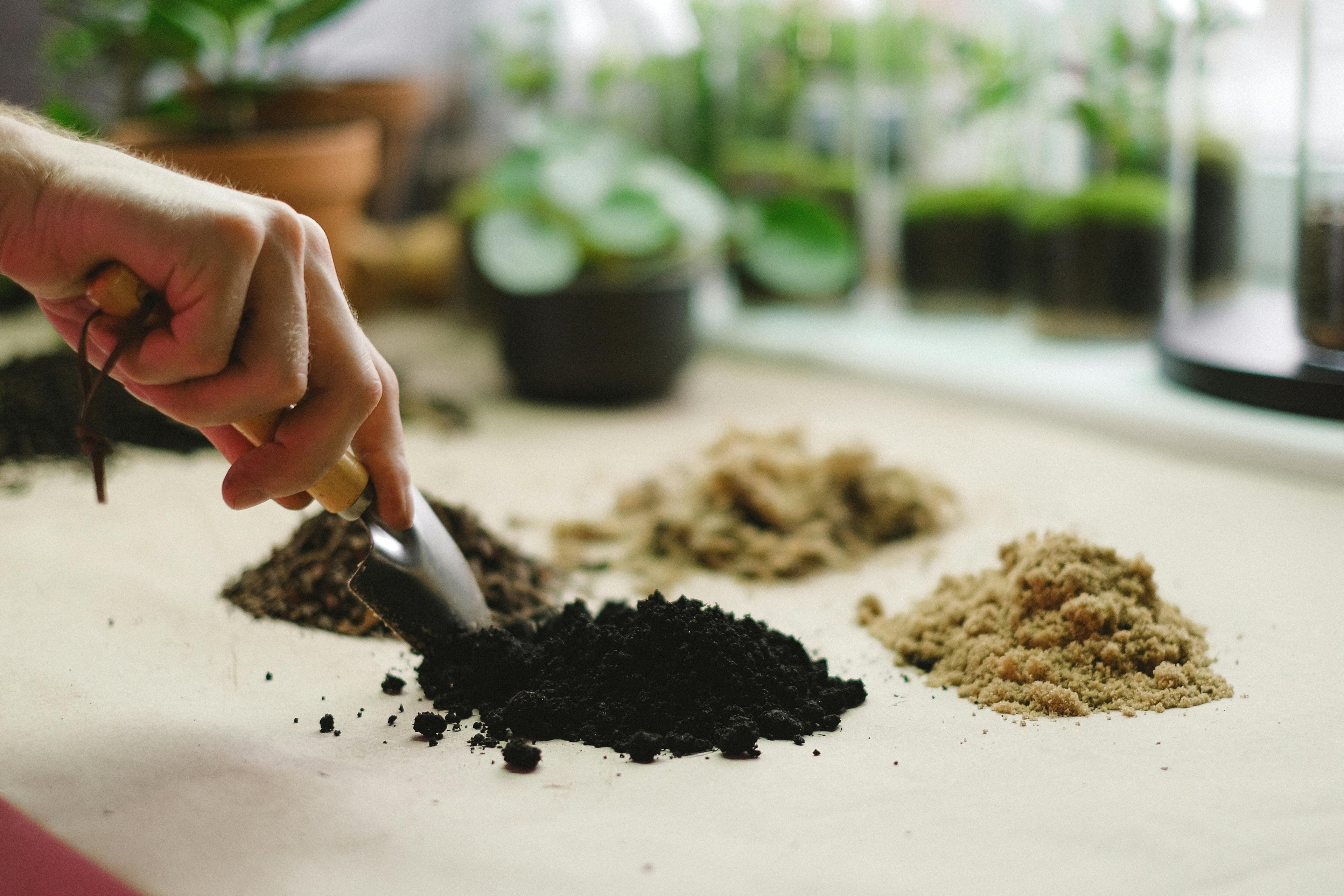 What Fertilizer Should You Use If Your Soil Test Is Delayed?