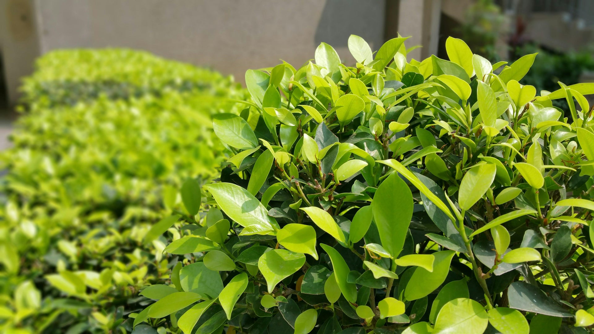 A Fresh Perspective on Potassium for a Balanced Fertility Plan