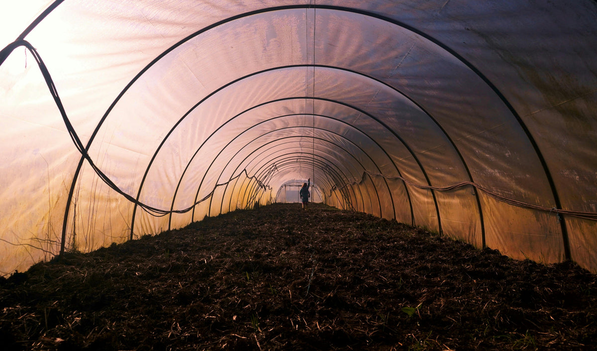 Cover Crops and Cold Soils: Where Organic Fertilizers Fit in the Winter Picture