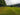 Why Landscapers Choose Triple 10 with Micronutrients for Greener Lawns