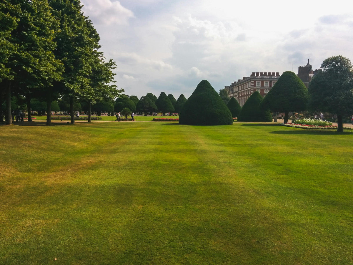 Why Landscapers Choose Triple 10 with Micronutrients for Greener Lawns