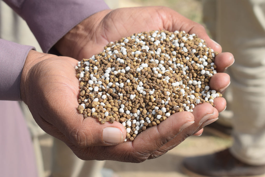 Sulfate of Potash or Muriate of Potash? Choosing the Right Potassium Source