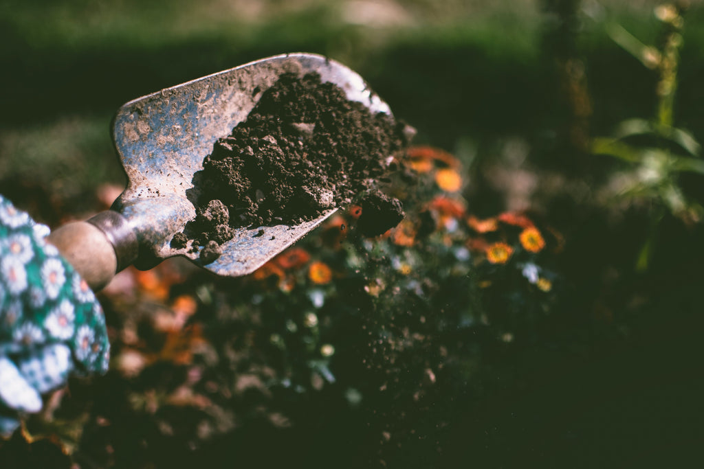 What is Humic Acid and What are its Benefits