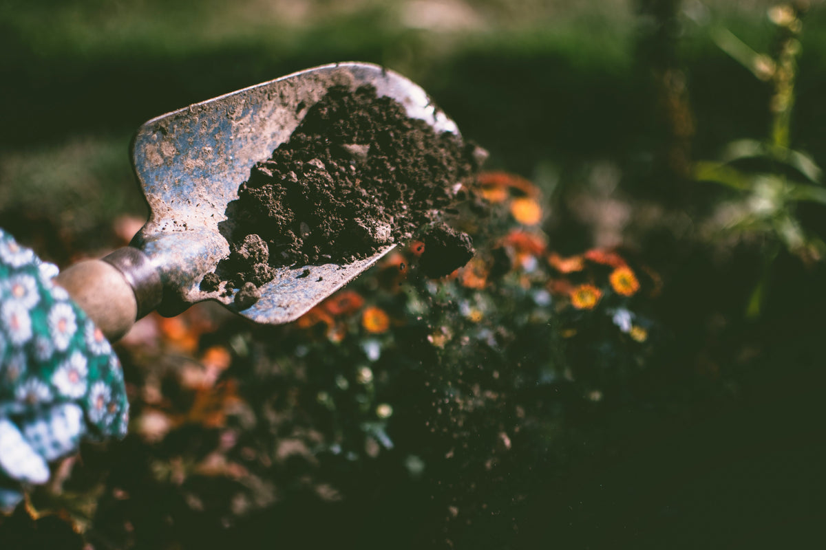 What is Humic Acid and What are its Benefits