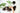 Early Season Fertilizer for Transplanted Crops: What Actually Works