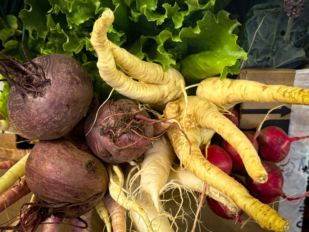 Why Root Crops and Bulbs Need Phosphorus Early