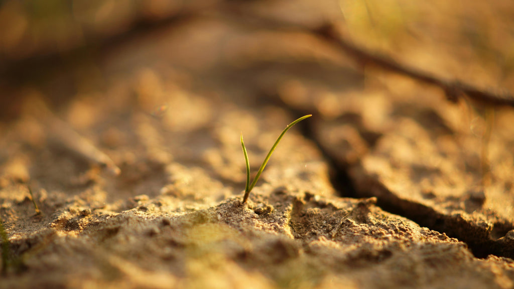 Top Soil Tests Every Farmer Needs Before Applying Fertilizer This Winter
