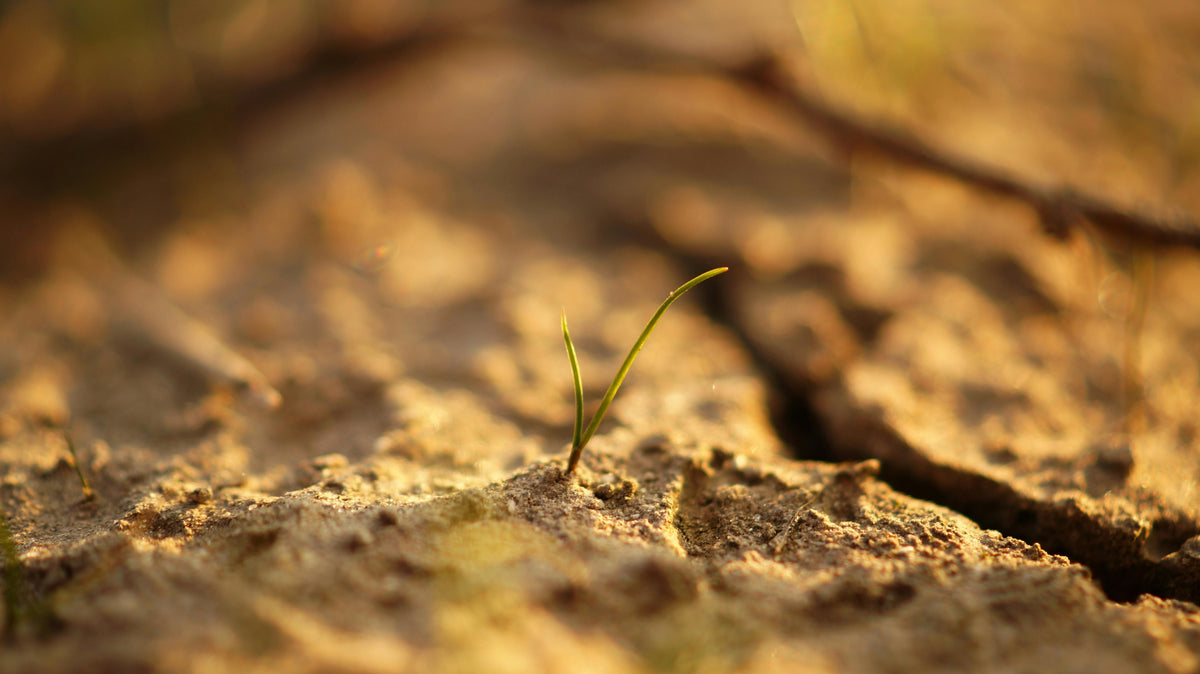 Top Soil Tests Every Farmer Needs Before Applying Fertilizer This Winter