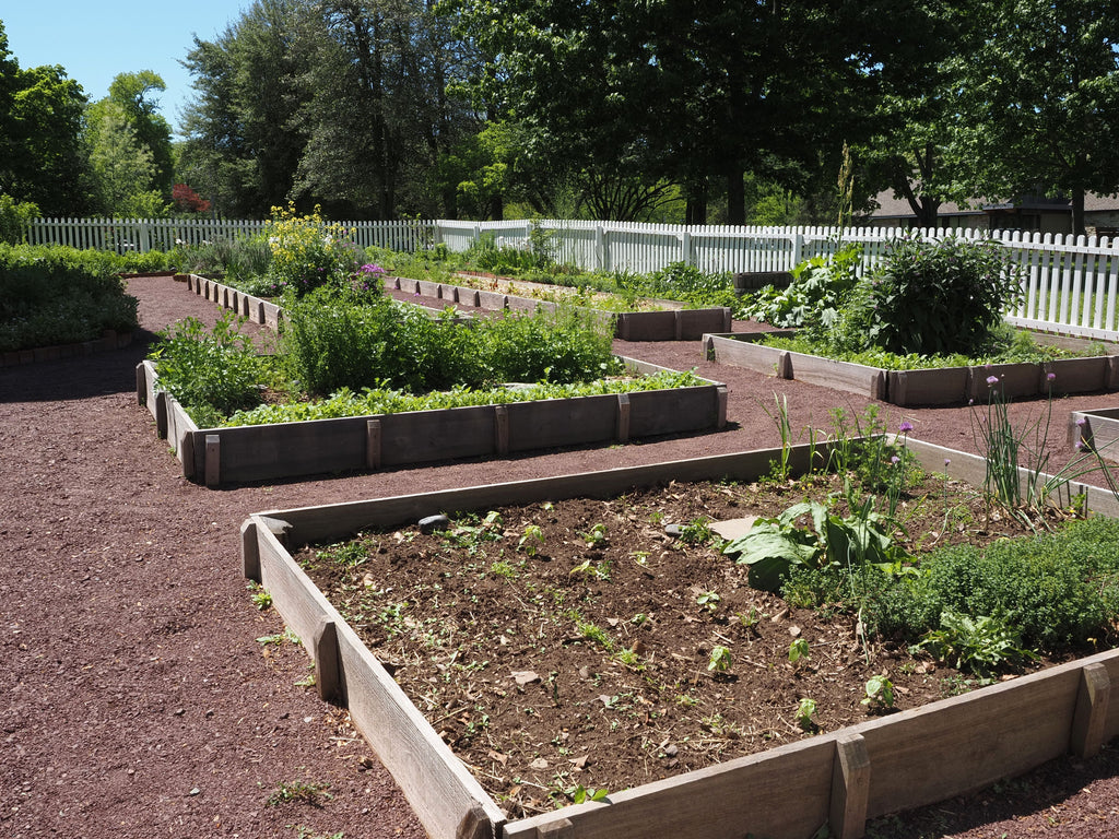 Feeding Raised Beds After The Spring Nutrient Flush
