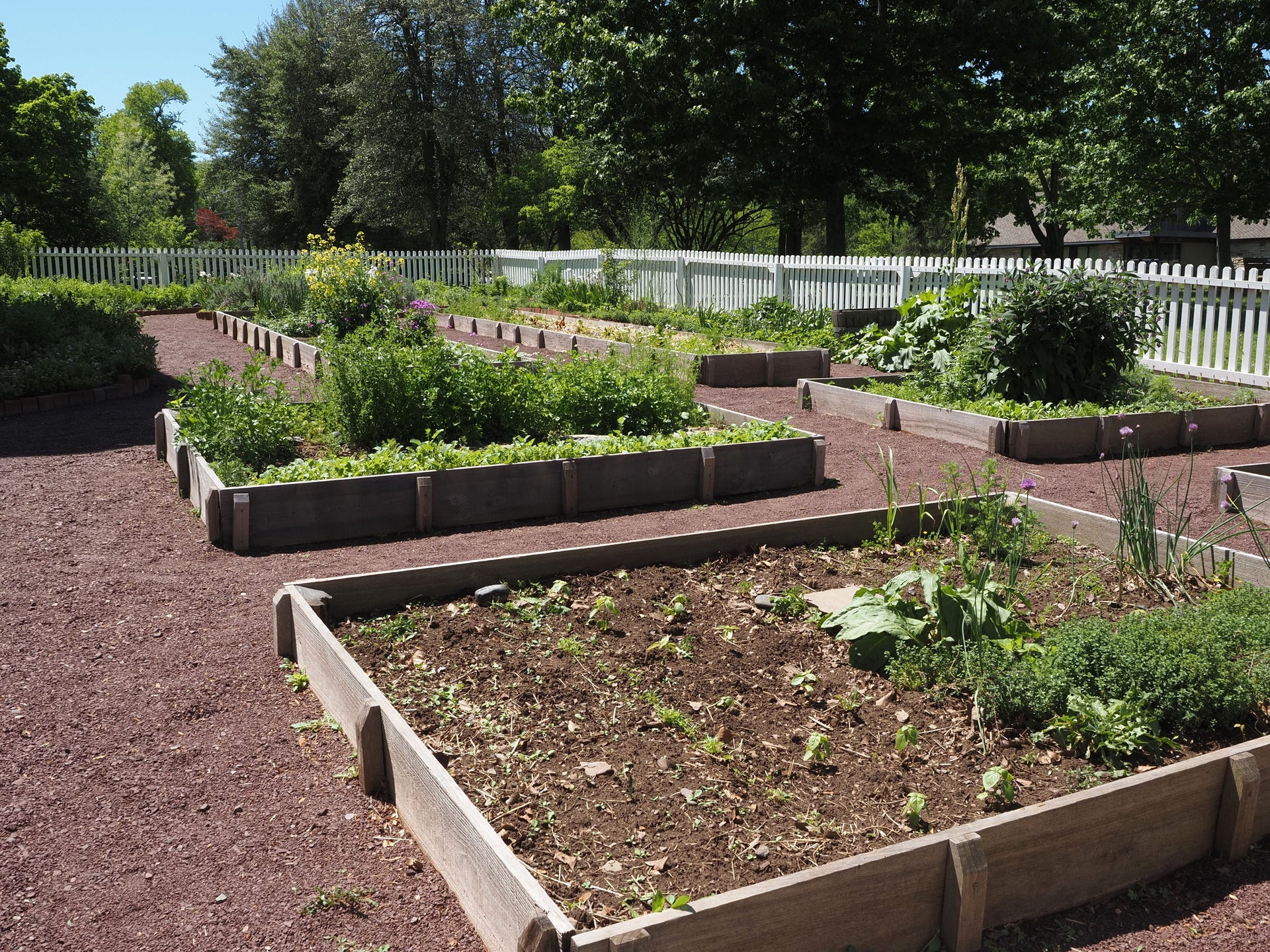 Feeding Raised Beds After The Spring Nutrient Flush