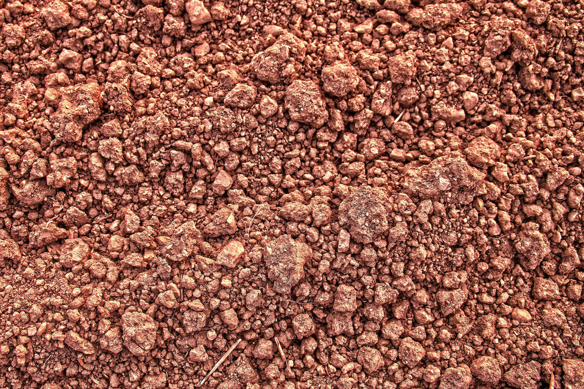 Why Clay Soils Need Structure Before More Fertilizer