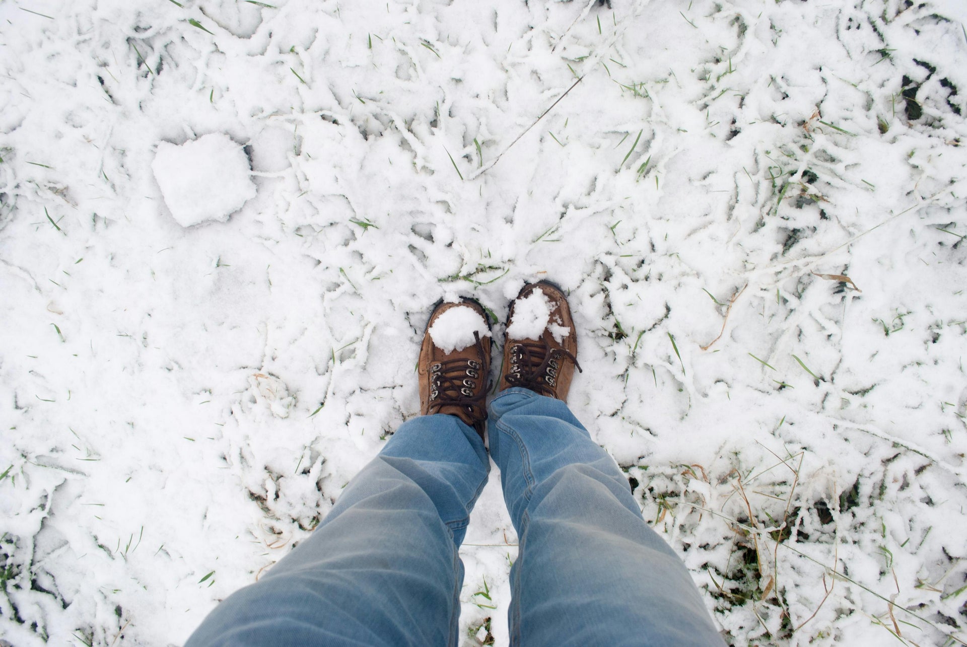 Winter Fertilization Basics
