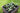 The Science Behind Nitrogen Uptake in Plants