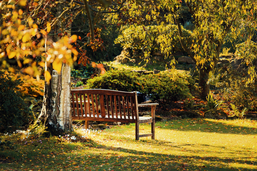 How to Choose the Best Organic Fertilizer for Your Garden This Fall