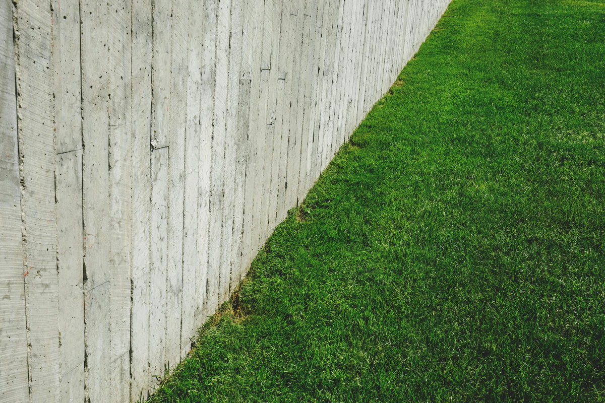 Using Fish Fertilizer on Lawns: Safe, Sustainable, and Effective