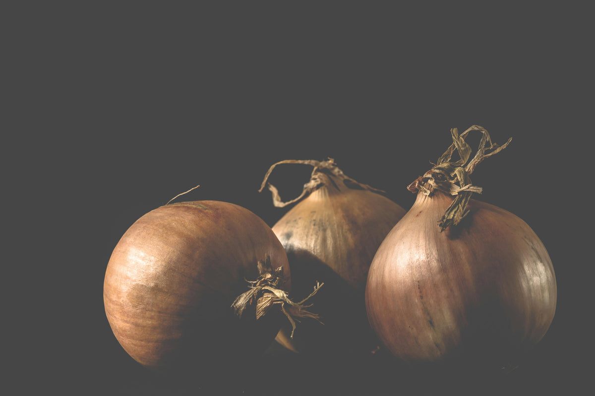 How 16-16-16 Fertilizer Supports Fall Bulb Planting and Root Growth