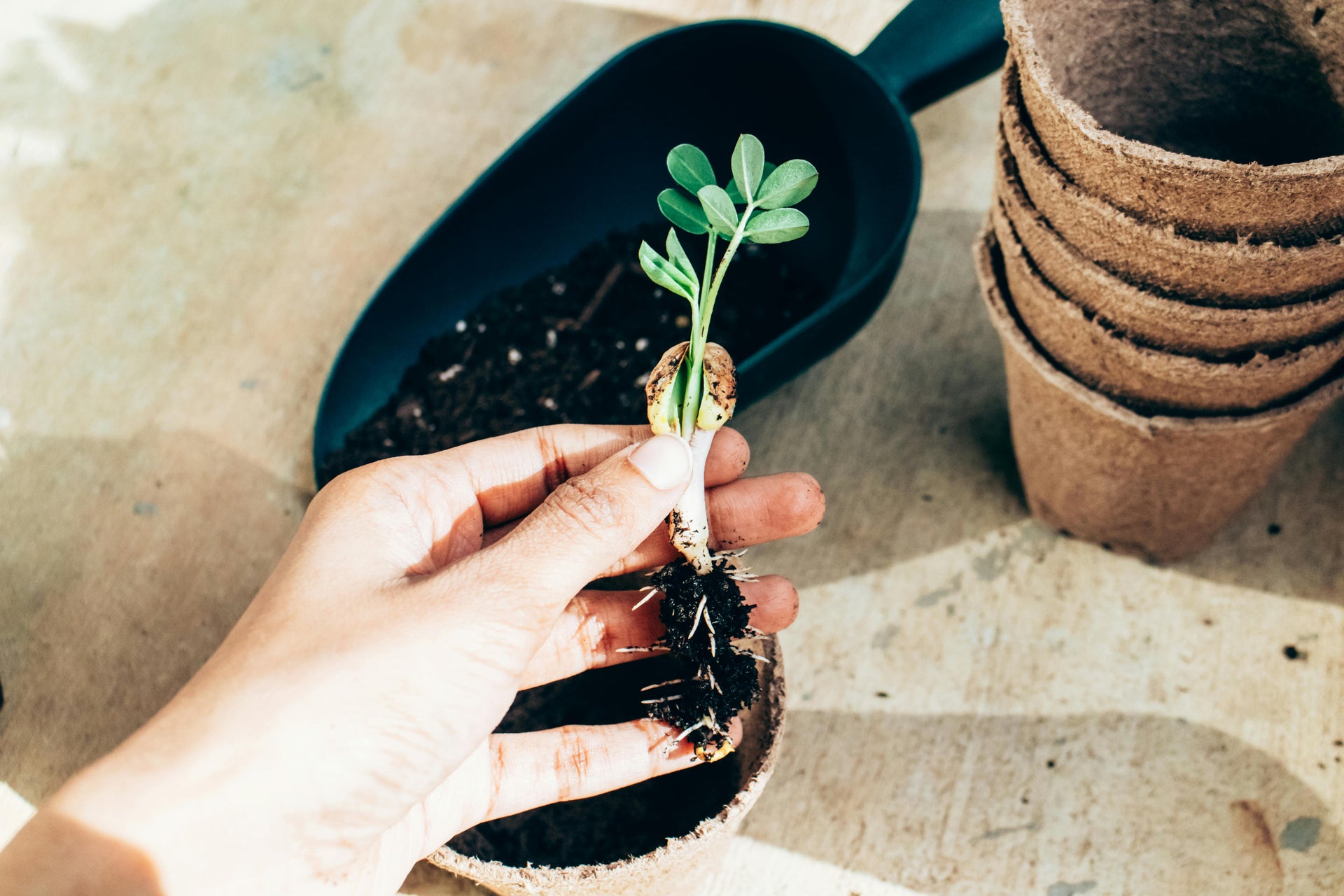 What “Balanced Fertilizer” Really Means for PNW Soils and Plants