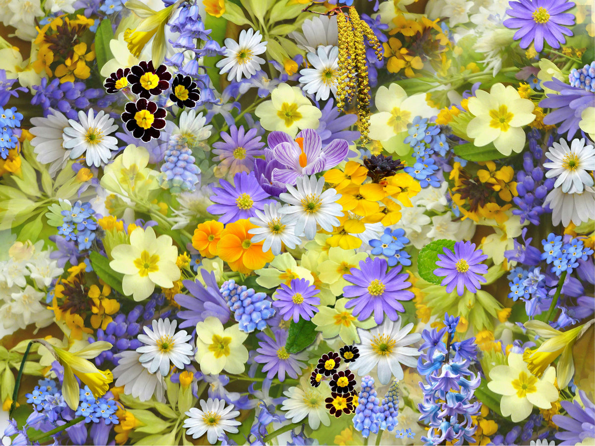 Benefits of Ammonium Sulfate in Spring Gardening