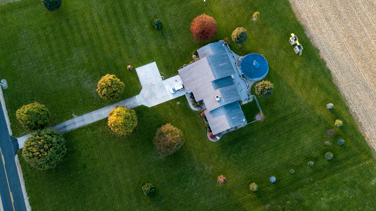 How to Take Care of Your Lawn’s Roots During Summer