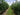 Potassium Versus Nitrogen: What Fruiting Crops Need Now