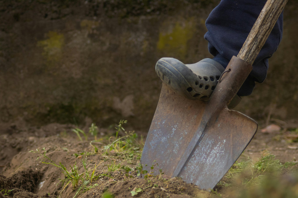 What Are the Advantages of Ammonium Sulfate vs. Ammonium Thiosulfate?