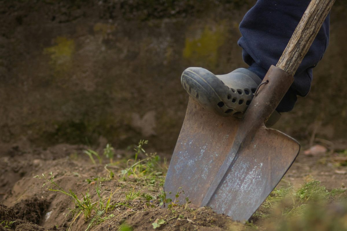What Are the Advantages of Ammonium Sulfate vs. Ammonium Thiosulfate?