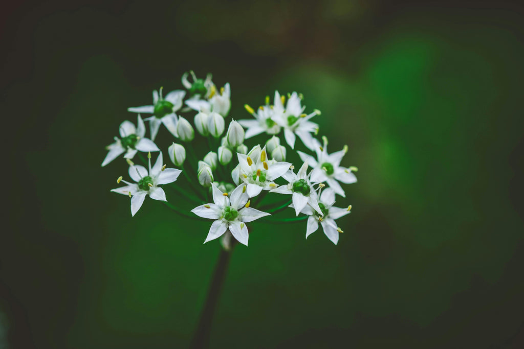 Cool Soils, Early Planters: Smarter Spring Starters For Row Crops