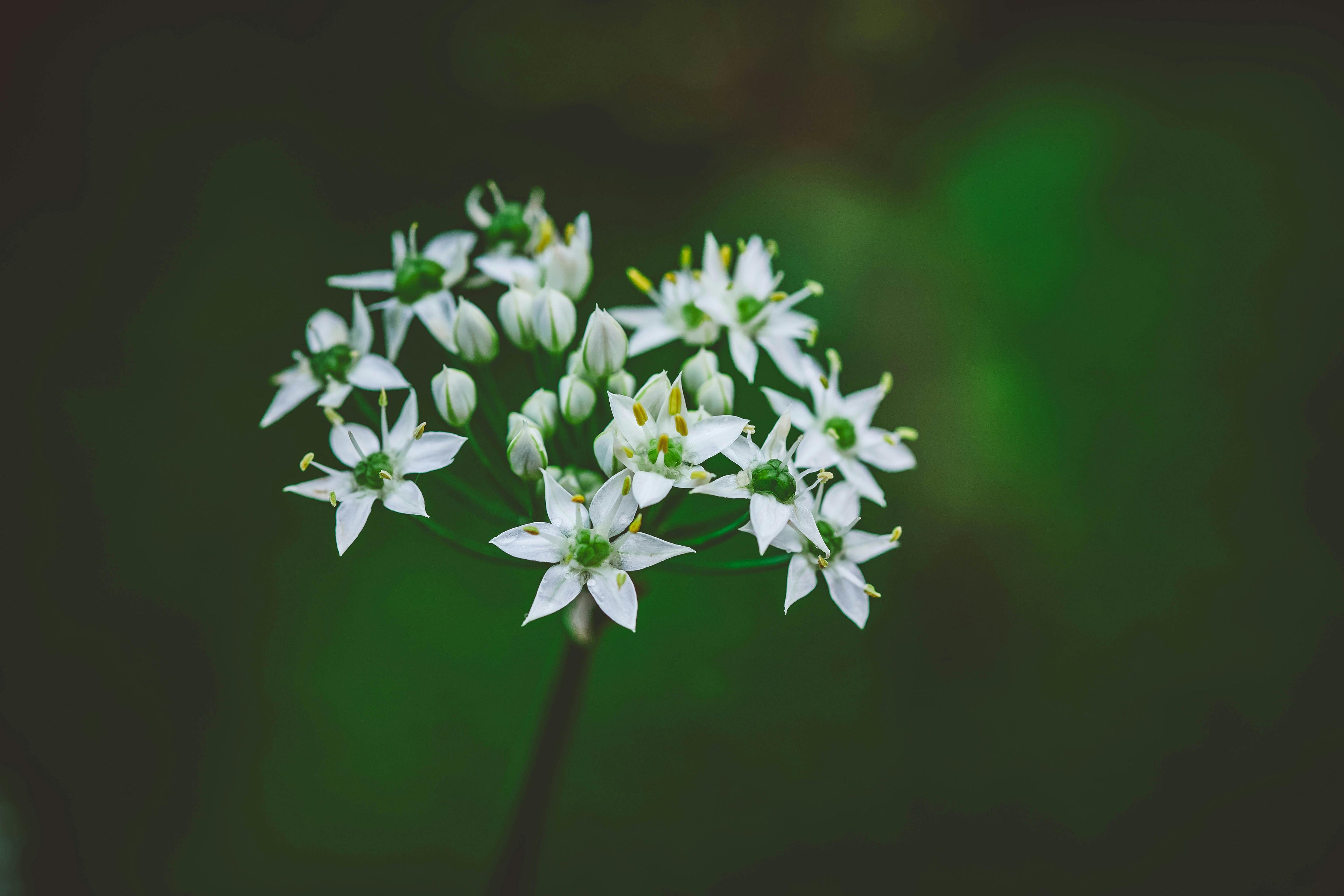 Cool Soils, Early Planters: Smarter Spring Starters For Row Crops