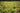 Cover Crops After Wheat and Early Vegetables: Catch Nutrients Before Fall Rains