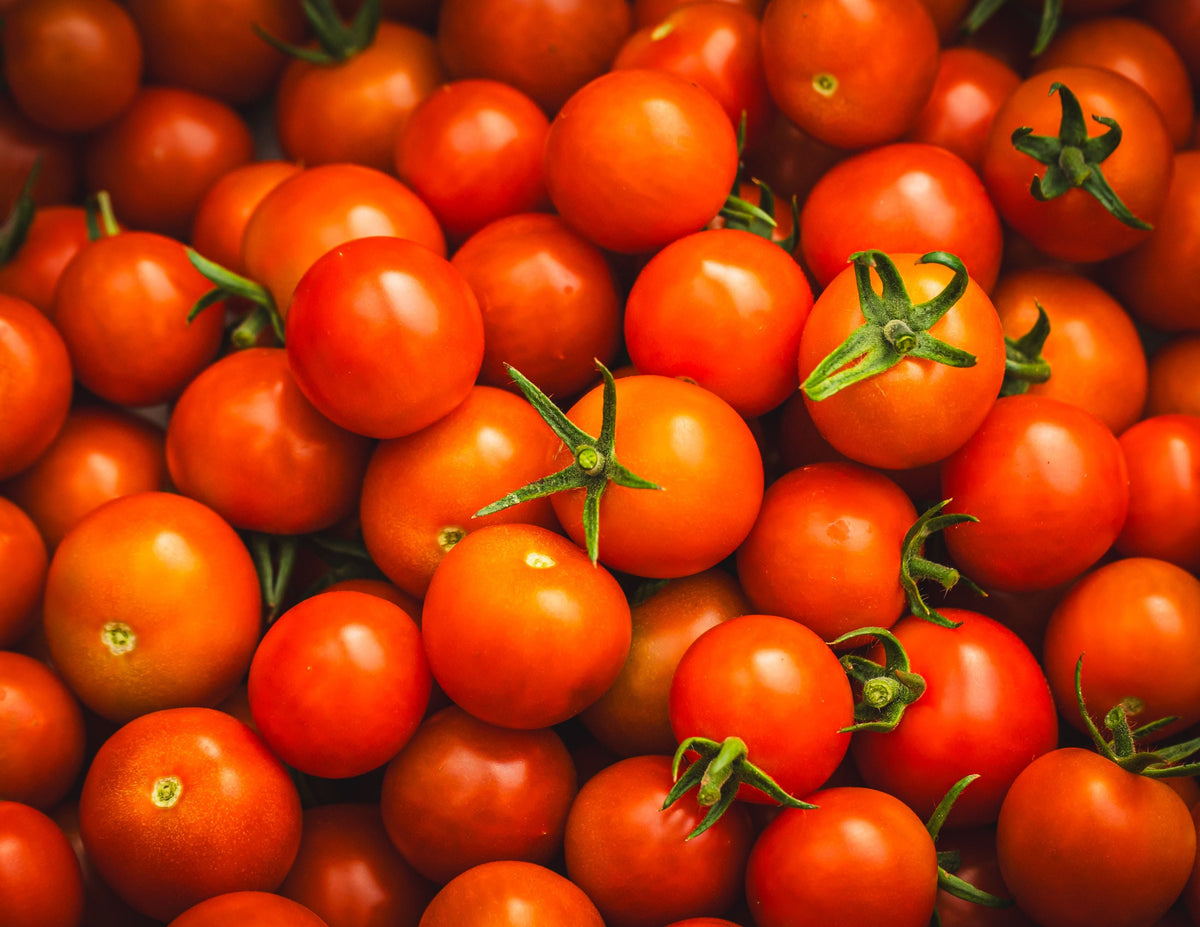 Tomatoes in June: Feeding for Fruit Set Without Pushing Too Much Leaf