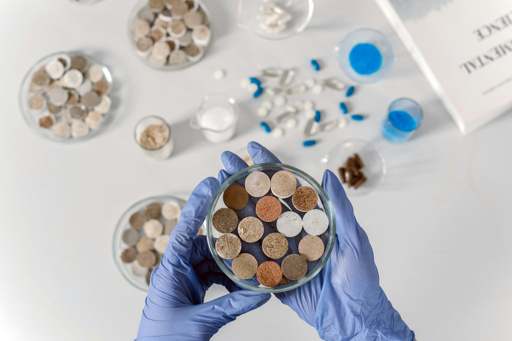 Soil Testing in Fall: The Smartest Move for Healthy Crops Next Season