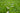 Dormant Seeding In Pacific Northwest Winters: How To Thicken Your Lawn Before Spring