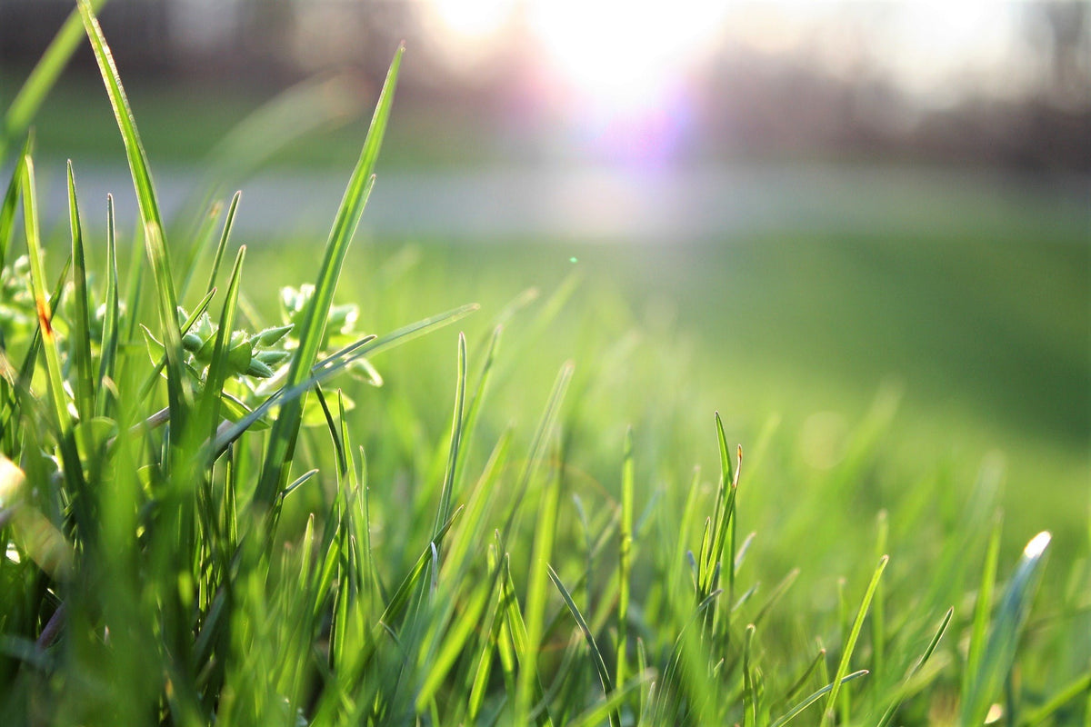 Water Soluble Gypsum as Soil Amendment