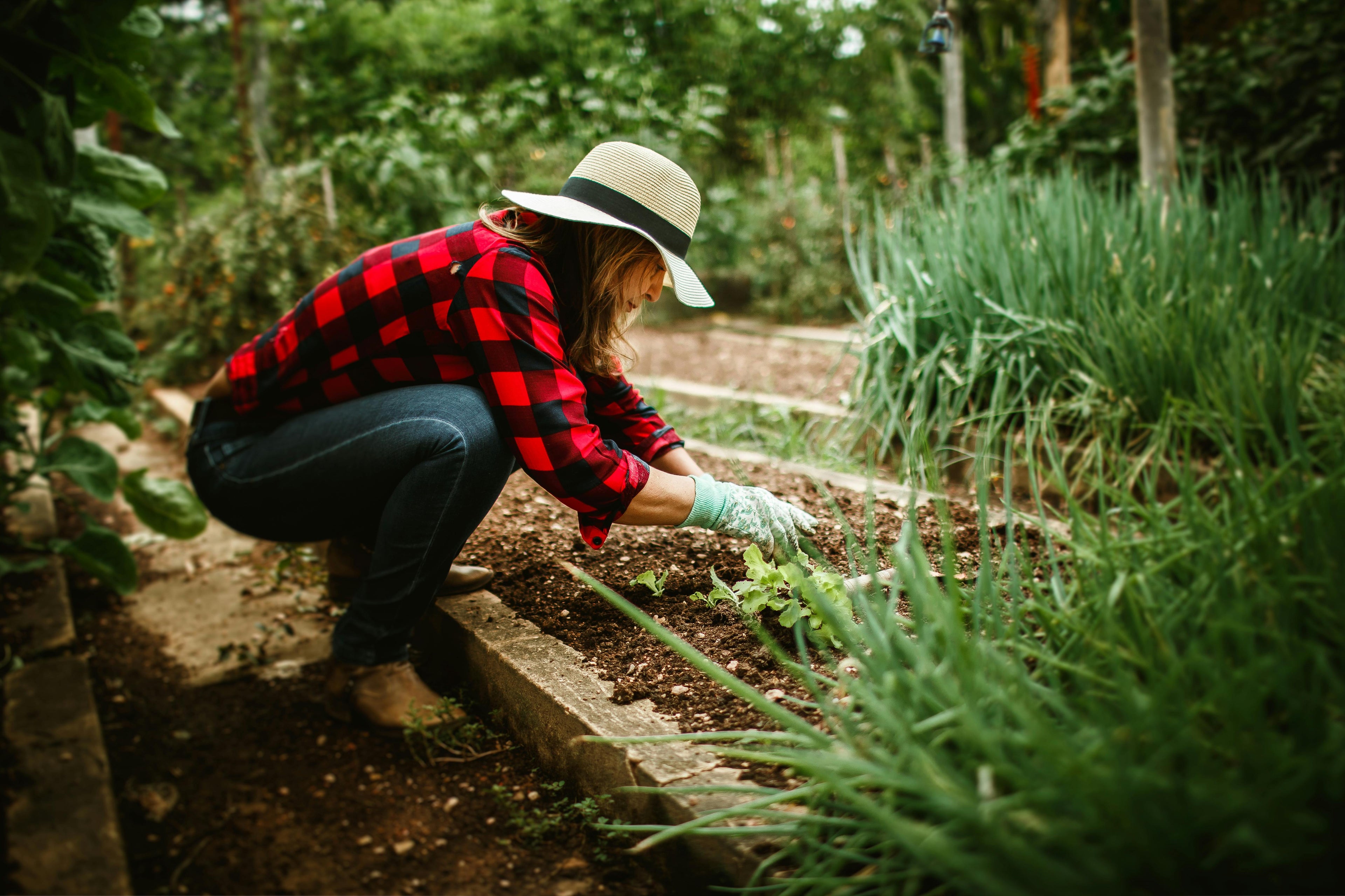 Ammonium Sulfate: A Solution for Alkaline Soils