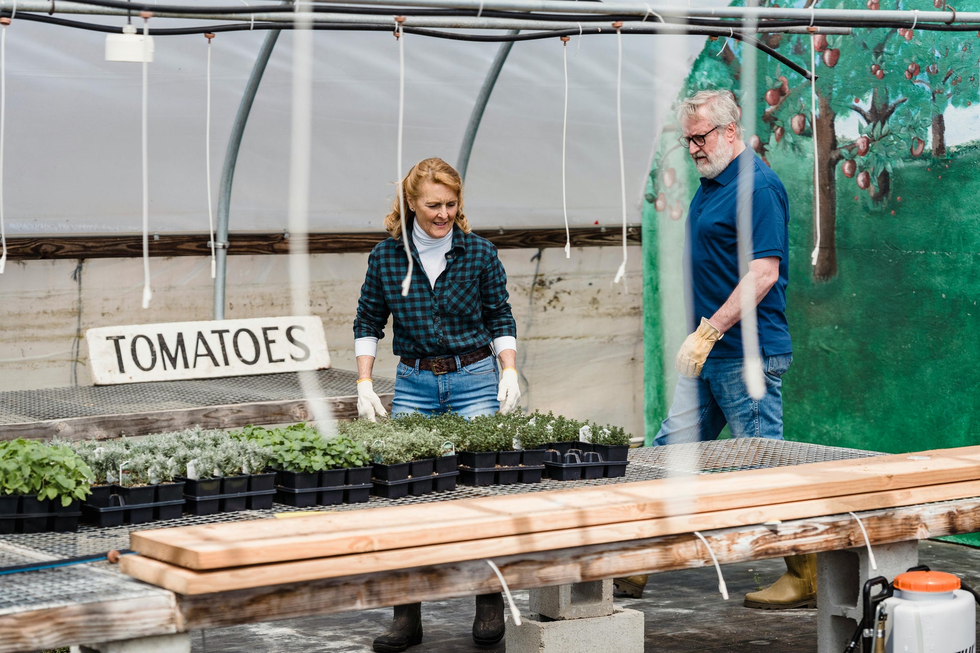 Fish Fertilizers: The Ultimate Choice for Natural, Thriving Gardens