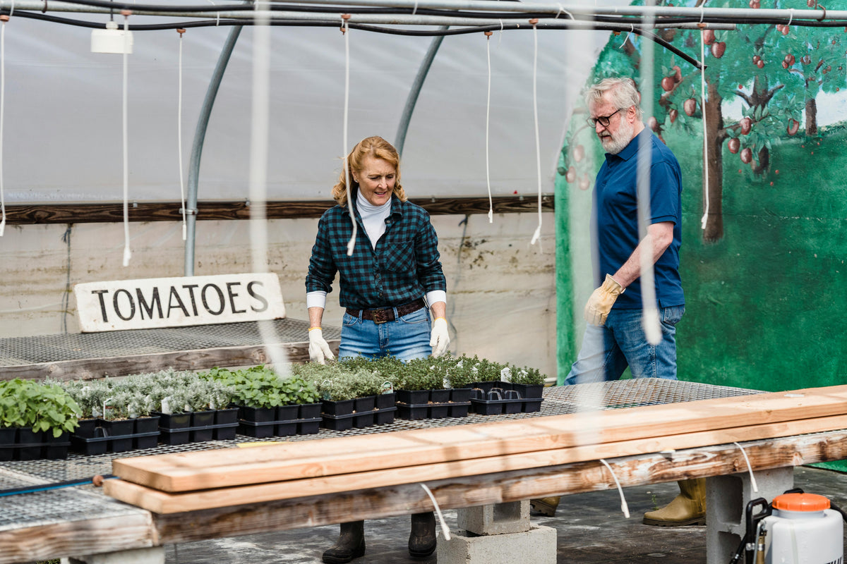 Fish Fertilizers: The Ultimate Choice for Natural, Thriving Gardens