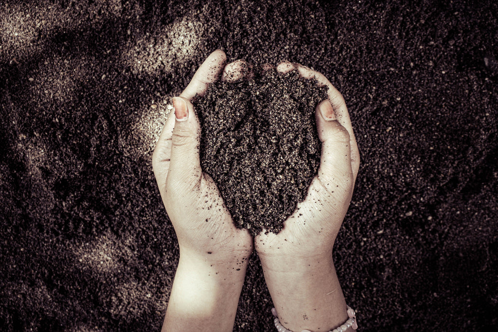 What August Field Notes Should Go Into Your Fall Soil-Sampling Plan