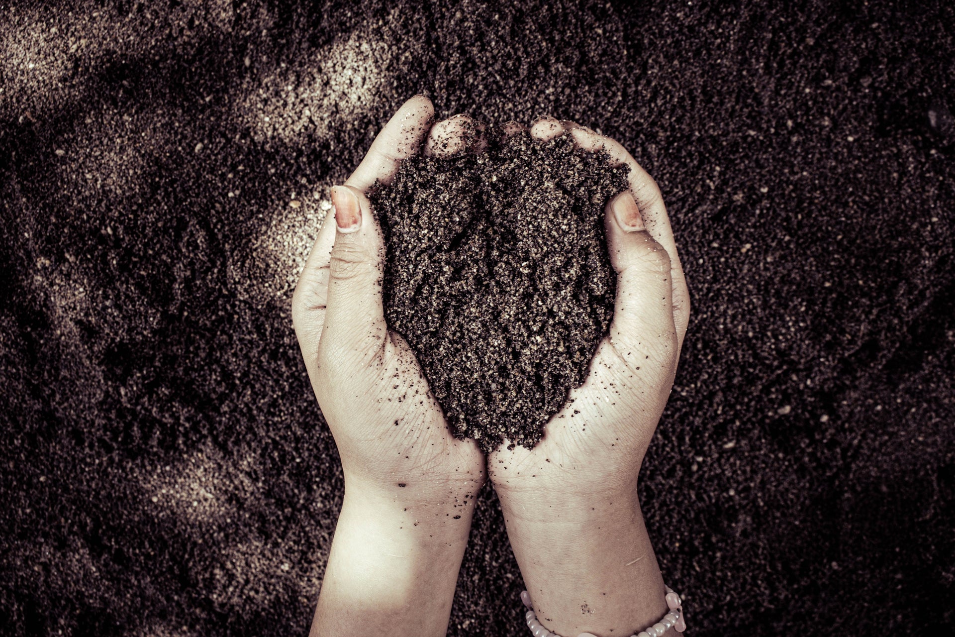 What August Field Notes Should Go Into Your Fall Soil-Sampling Plan
