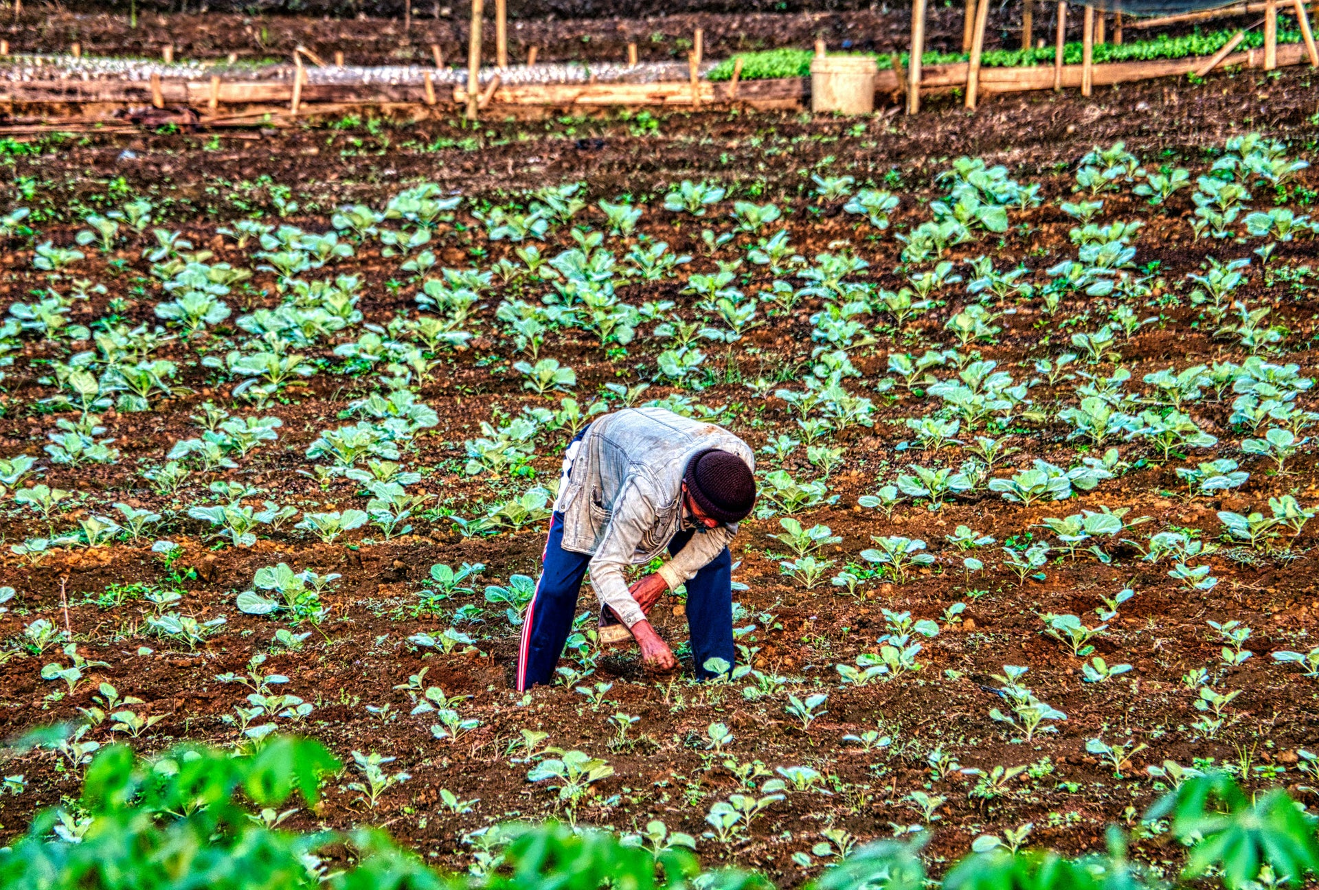 Gypsum for Agriculture