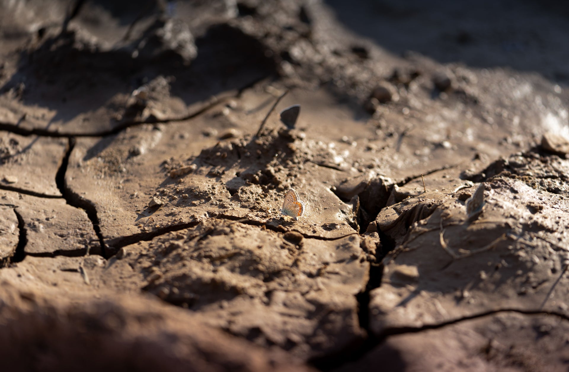 Gypsum and Clay Soil: What Calcium Sulfate Can Fix—and What It Cannot