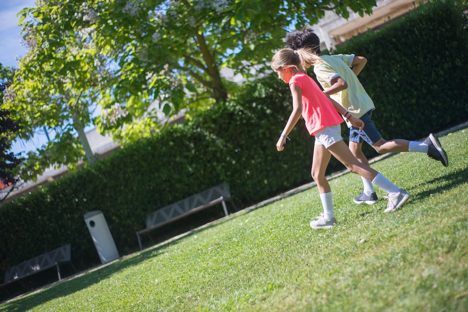 Lawns Under Summer Traffic: Pets, Kids, Mowers, And Heat