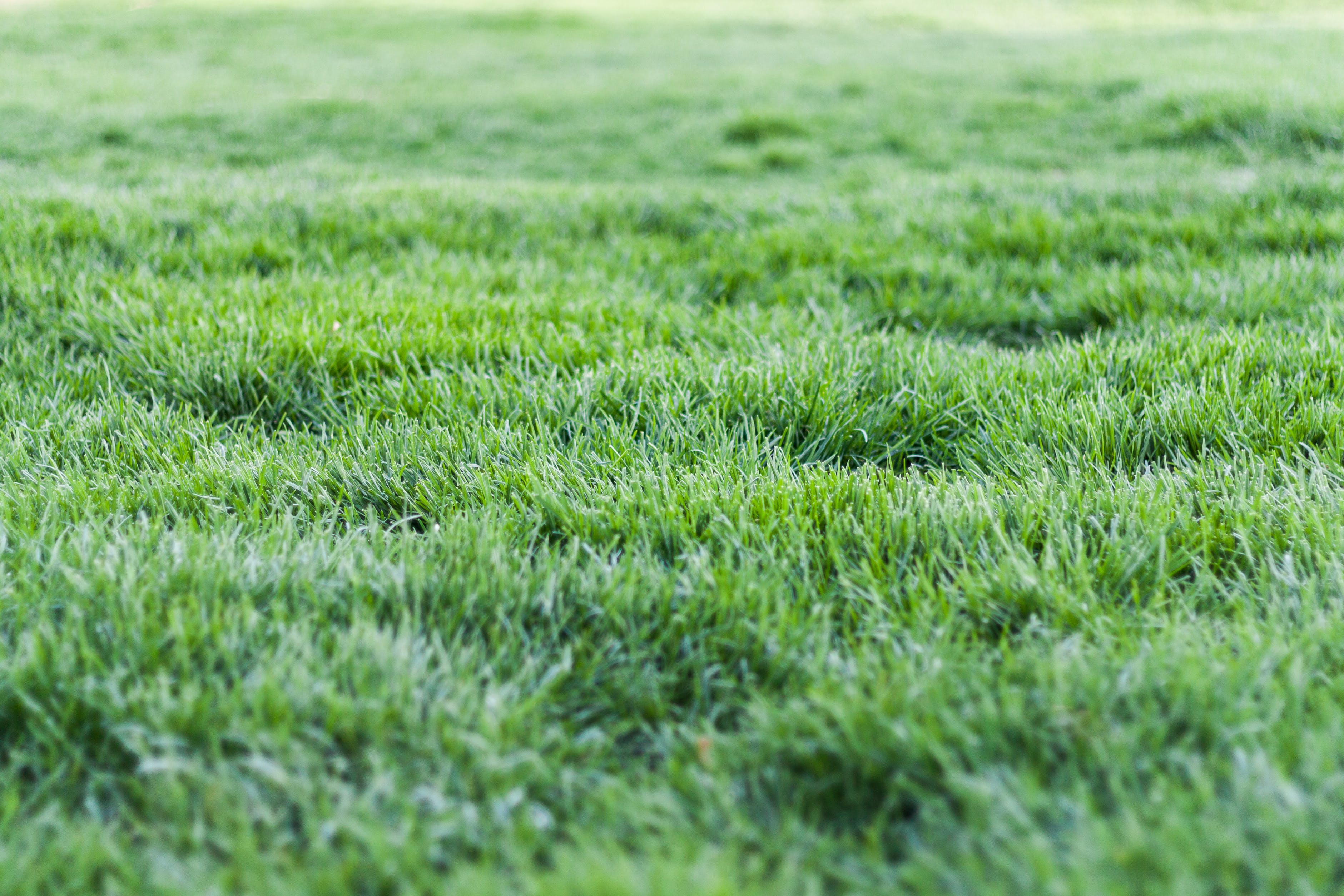 Would De-Icing Your Lawn Beneficial?