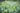 How to Use 10-10-10 Liquid Fertilizer with Micronutrients for Every Plant Type