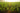 The Importance of Granulated Fertilizers: A Comprehensive Guide
